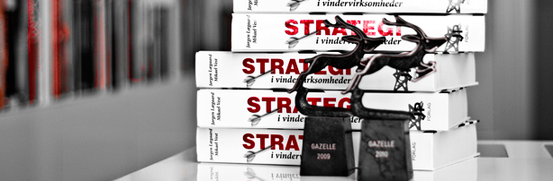 Strategi værktøjer fra Vinderstrategi A/S